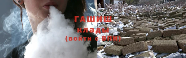 мдпв Елабуга