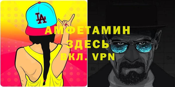 мдпв Елабуга