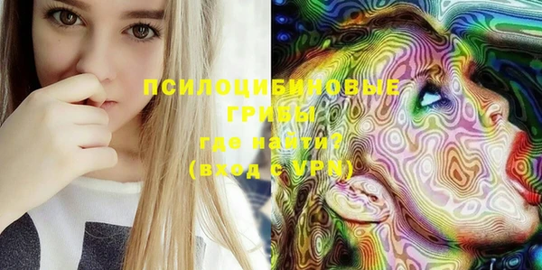 героин Ельня