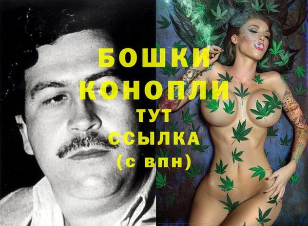мдпв Елабуга