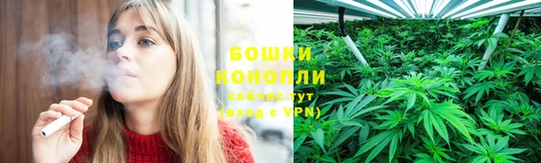 мдпв Елабуга