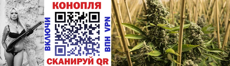 маркетплейс официальный сайт  продажа наркотиков  Верхняя Салда  Бошки Шишки OG Kush  KRAKEN рабочий сайт 